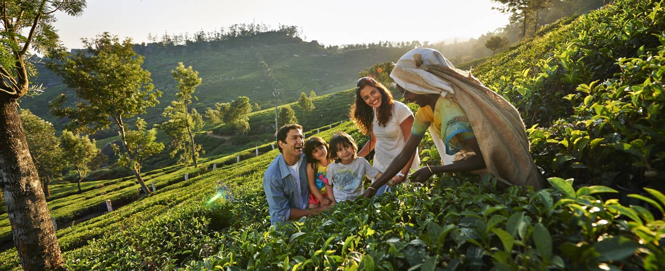 Spice Plantations Tour